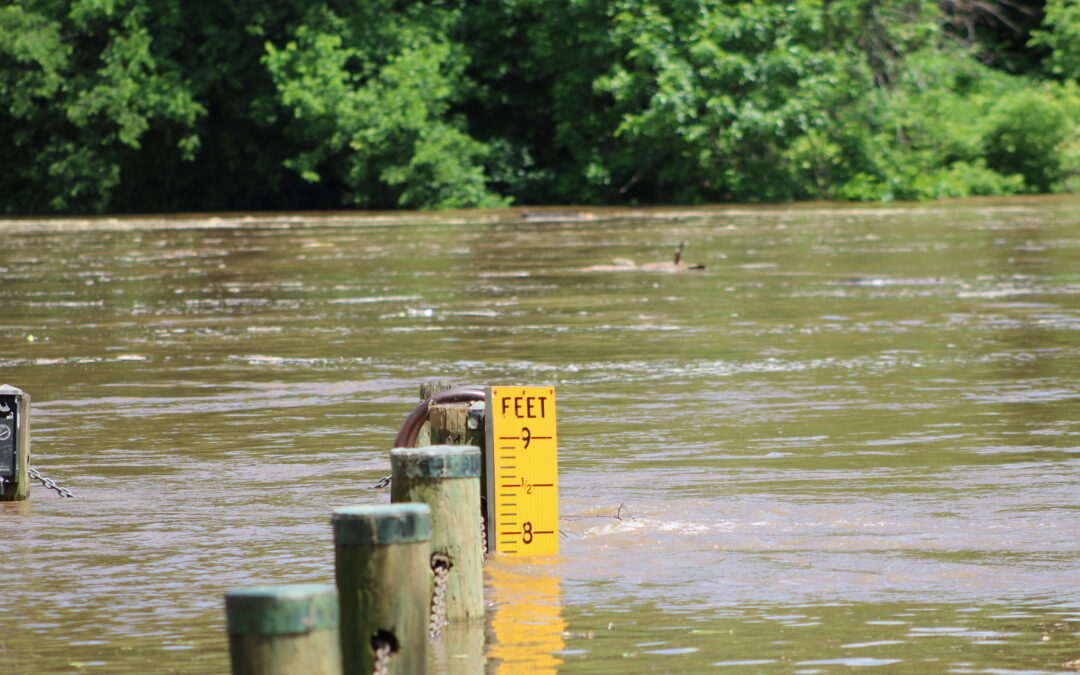 PHOTOS:  River rising at City Dock